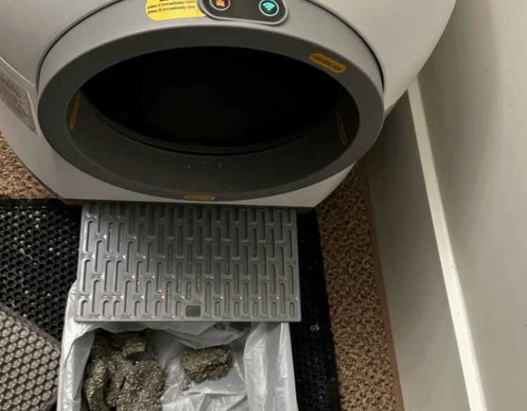 Review by Charlotte R,